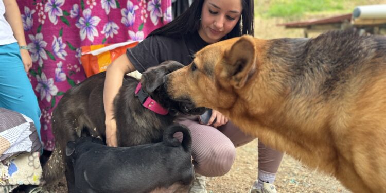 La historia de fe y amor detrás del Refugio Mariano y la Mascotatón