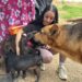 La historia de fe y amor detrás del Refugio Mariano y la Mascotatón