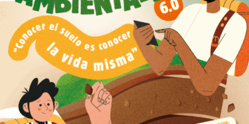 ¿Tienes entre 18 y 28 años y quieres aportar al cuidado del medio ambiente? Esta información es para ti  