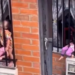 Video de dos niños dormidos entre rejas tras presunto castigo en Santa Rosa de Cabal desató indignación: quedaron bajo protección del Icbf