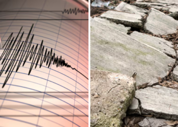 Terremoto de magnitud 7.7 sacude Indonesia; esto dice el reporte