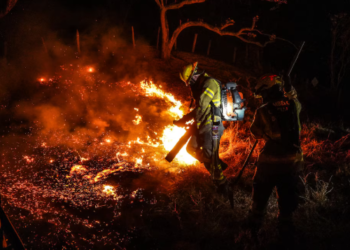 Incendios forestales en Colombia, hoy 28 de agosto, EN VIVO: hasta el momento hay 21 conflagraciones activas en cinco departamentos