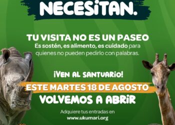 Ukumarí reabre sus puertas: hoy más que nunca, nuestros animales nos necesitan