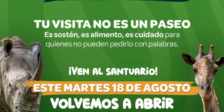 Ukumarí reabre sus puertas: hoy más que nunca, nuestros animales nos necesitan