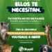 Ukumarí reabre sus puertas: hoy más que nunca, nuestros animales nos necesitan
