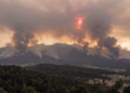 Los riesgos de los incendios forestales en Colombia: expertos explican las consecuencias para la calidad del aire, el suelo y la vegetación