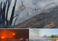Colombia enfrenta 15 incendios forestales activos, nueve en Tolima; Cali reportó más de 70 hectáreas quemadas y dos bomberos lesionados