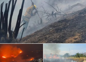 Colombia enfrenta 15 incendios forestales activos, nueve en Tolima; Cali reportó más de 70 hectáreas quemadas y dos bomberos lesionados