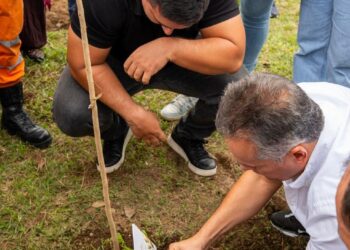 Con la siembra de 97 árboles, la Alcaldía de Pereira rindió homenaje a los fallecidos en el terremoto del 10 de agosto