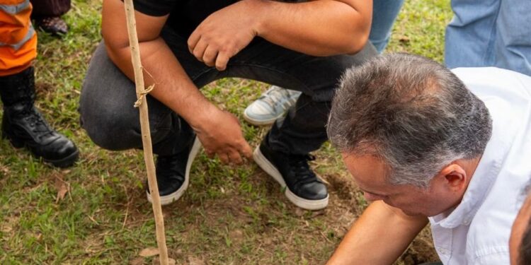 Con la siembra de 97 árboles, la Alcaldía de Pereira rindió homenaje a los fallecidos en el terremoto del 10 de agosto