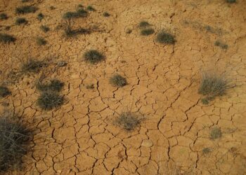 Alerta mundial: Informe de la ONU advierte que el calentamiento global superará los 1.5°C este siglo