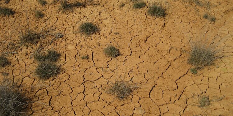 Alerta mundial: Informe de la ONU advierte que el calentamiento global superará los 1.5°C este siglo