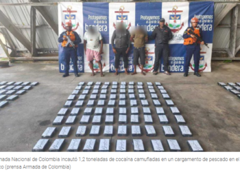 Golpe al narcotráfico en el Pacífico: Armada incautó 1.2 toneladas de cocaína camufladas en cargamento de pescado